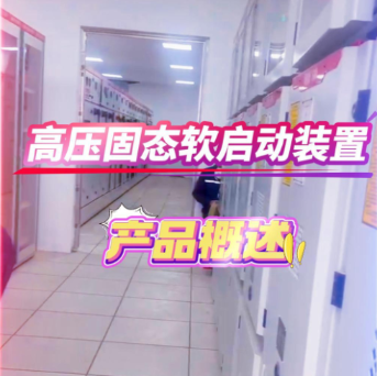 高壓固態軟起動裝置 一體化高壓固態軟起動柜